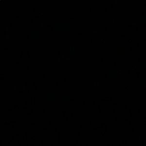 Meet your Posher, Bella